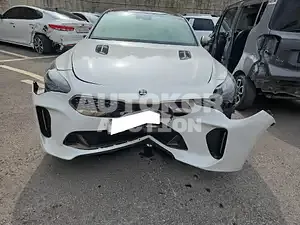 2018, Kia / Stinger, VIN: KNAE751CBJS029587, gas