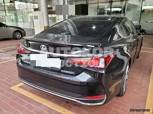 2019, Lexus / ES 300, VIN: JTHB21B15L2071751, 16000 км., hybrid