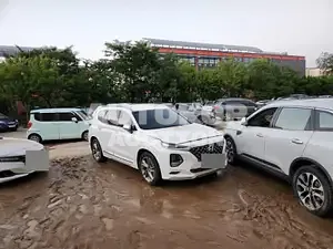 2019, Hyundai / Santa FE, diesel