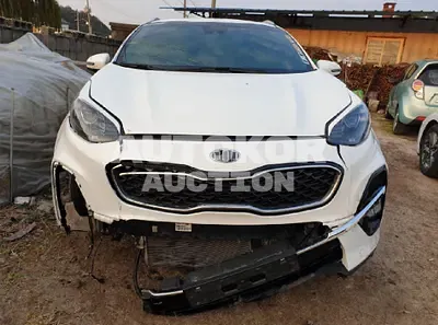 2019, Kia / Sportage, VIN: KNAPN813BKK556361, diesel
