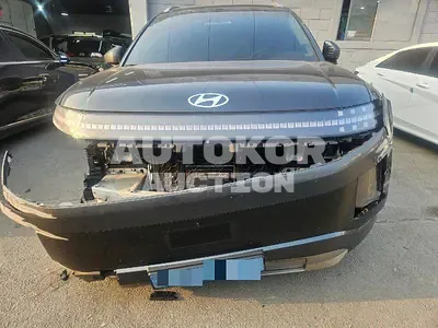 2025, Hyundai / ioniq 9, VIN: KMHMU811FSA010318, electric