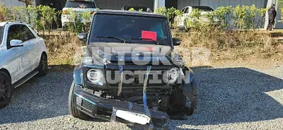 2021, Mercedes-Benz / G 400, VIN: W1NYC5AJ6MX389683, diesel