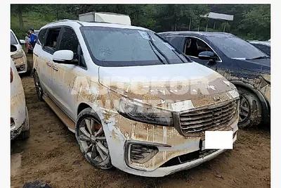 2019, Kia / Carnival, VIN: KNAME81ABKS496164, diesel