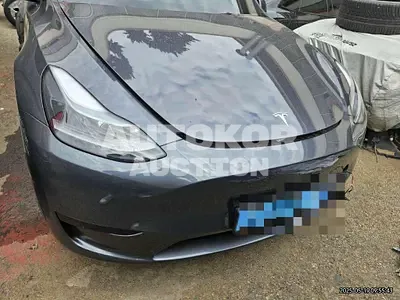 2024, Tesla / Model Y, electric