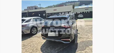 2023, Kia / Sportage, hybrid, 1598 куб.см.