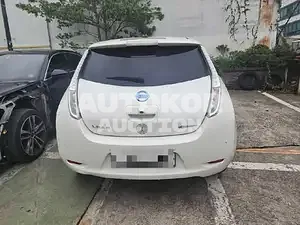 2015, Nissan / Leaf, electric