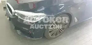 2019, BMW / 530, unknown
