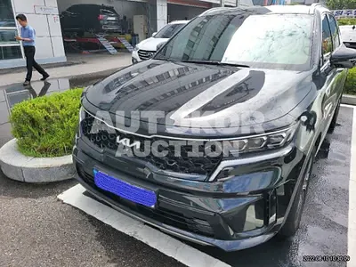 2022, Kia / Sorento, VIN: KNARM81GBNA094029, hybrid