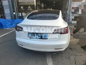 2021, Tesla / Model 3, VIN: 5YJ3E1EB5MF946651, electric, 236 куб.см.
