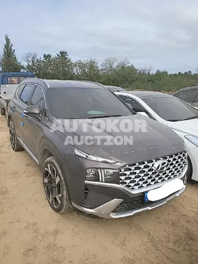 2021, Hyundai / Santa FE, VIN: KMHS381LHMU394906, 30000 км., gas