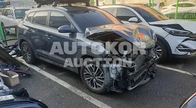 2019, Hyundai / Tucson, VIN: KMHJ581ABKU083924, diesel