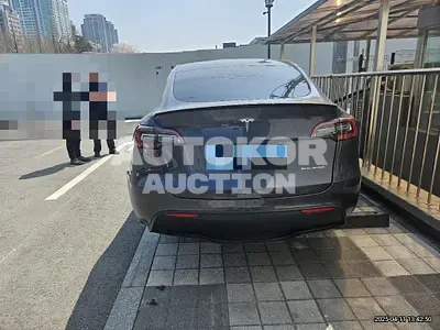 2022, Tesla / Model Y, electric