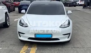 2020, Tesla / Model 3, VIN: 5YJ3E1EB2LF726138, 83719 км., electric