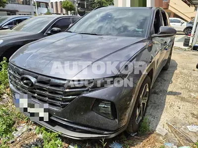 2023, Hyundai / Tucson, 32000 км., gas, 1600 куб.см.