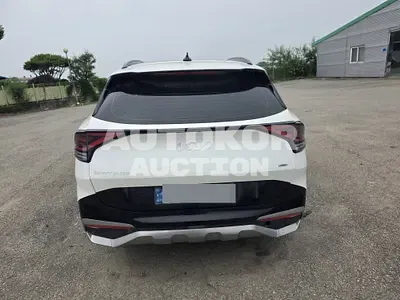 2024, Kia / Sportage, 30000 км., hybrid, 1598 куб.см.