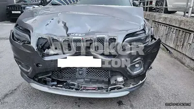 2020, Jeep / Cherokee, VIN: 1C4PJMDB0LD508030, 81832 км., gas, 2400 куб.см.