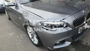 2015, BMW / 520, VIN: WBA5E7103GG156031, 176690 км., diesel