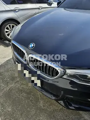 2018, BMW / 520, VIN: WBAJC5101JWB87190, 132076 км., diesel