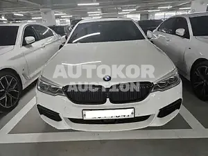 2020, BMW / 520, VIN: WBAJF5104LCE13895, diesel