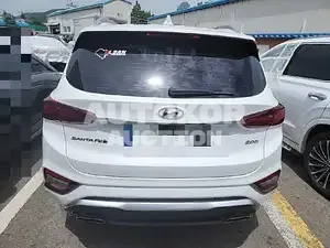 2019, Hyundai / Santa FE, VIN: KMHS381BBKU147702, diesel, 2000 куб.см.