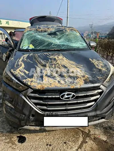 2017, Hyundai / Tucson, VIN: KMHJ281ADHU267920, diesel