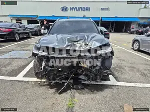 2019, Hyundai / Santa FE, VIN: KMHS381BBKU161861, diesel