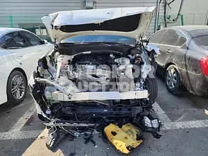 2020, Hyundai / Santa FE, VIN: KMHS381HGMU323976, diesel