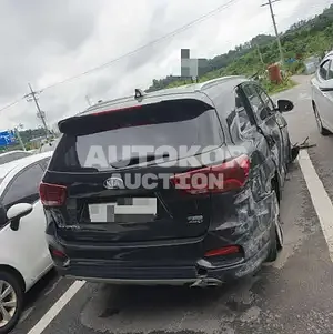 2018, Kia / Sorento, VIN: KNAPG81BDJA436903, diesel, 2200 куб.см.