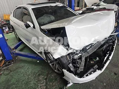 2017, BMW / 530, 48022 км., gas, 1998 куб.см.