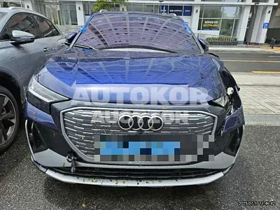 2023, Audi / e-tron, 17841 км., electric