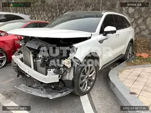 2020, Kia / Sorento, VIN: KNARF81BHMA008085, diesel