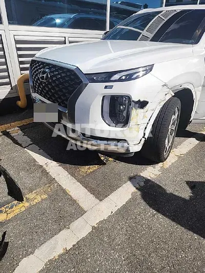 2022, Hyundai / Palisade, VIN: KMHR581ADNU441707, 54982 км., diesel, 2199 куб.см.