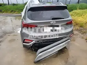 2019, Hyundai / Santa FE, VIN: KMHS381BDLU227154, 58000 км., diesel