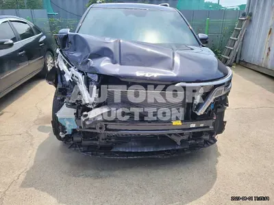2023, Kia / Carnival, VIN: KNANC813BPS304344, 1316 км., gas