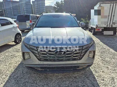 2023, Hyundai / Tucson, diesel