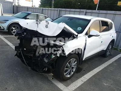 2019, Hyundai / Santa FE, VIN: KMHS281BBKU113319, diesel