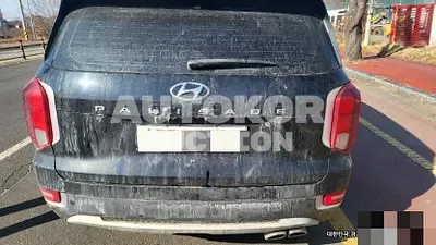 2020, Hyundai / Palisade, VIN: KMHR381ABLU123894, 97000 км., diesel, 2200 куб.см.