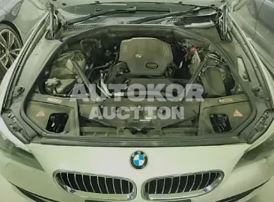 2015, BMW / 520, VIN: WBA5E510XFG065650, 212589 км., diesel