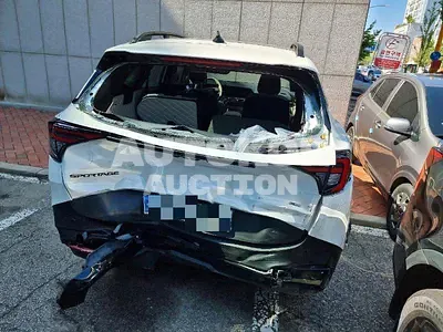 2025, Kia / Sportage, 33676 км., hybrid, 1600 куб.см.