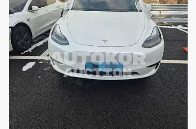 2023, Tesla / Model Y, electric, 173 куб.см.
