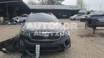2016, Kia / Sorento, VIN: KNAPK81ABGA219791, diesel, 1998 куб.см.