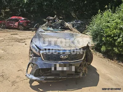 2019, Kia / Sorento, 81993 км., gas, 2000 куб.см.