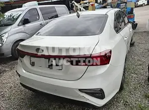 2018, BMW / Z1, VIN: KNAF241BEKA814073, gas