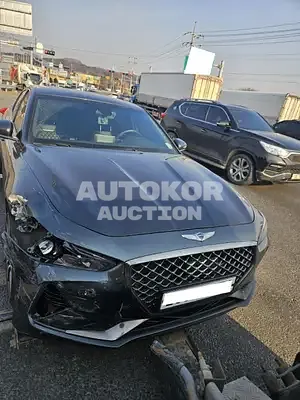 2019, Genesis / G70, VIN: KMTG341ABKU054845, gas