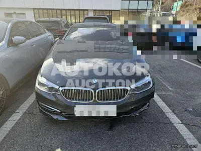 2019, BMW / 530, gas