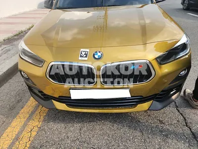 2020, BMW / 218, VIN: WBAYK7100L5R43059, 62380 км., diesel