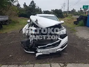 2017, Hyundai / Santa FE, VIN: KMHSW81UDJU818201, diesel