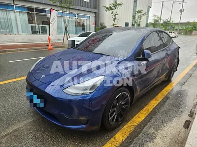 2021, Tesla / Model Y, electric, 1999 куб.см.
