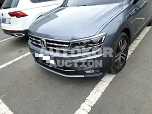 2020, Volkswagen / Tiguan Allspace, VIN: WVGZZZ5NZLM179728, 18829 км., diesel