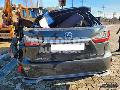 2019, Lexus / RX 450, VIN: JTJBGMCA2K2047082, hybrid